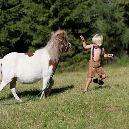 In Katschberg Nahe Skipisten 公寓 雷恩贝格